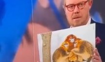 SKANDALOZAN POTEZ! Danski voditelj uporedio reprezentativce Maroka sa majmunima, OVAKVA BRUKA SE NE PAMTI! (VIDEO)