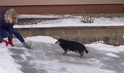 NISU BAŠ ZIMSKE ČAROLIJE! Pogledajte kako je pas proklizavao u pokušaju da dođe do vlasnice! (VIDEO)