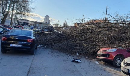 JAKO NEVREME POGODILO HRVATSKU! Snažan vetar napravio HAOS u Zagrebu, počupana stabla, grane uništile automobile (FOTO)
