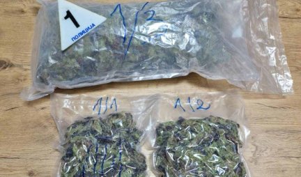 OSUĐEN GRANIČNI POLICAJAC! Kod njega i njegove partnerke pronađeno 32 kilograma marihuane ADVOKAT NAJAVLJUJE ŽALBU