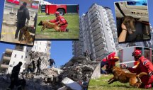 (VIDEO /FOTO) BELGIJSKI OVČAR ZIGI SPASAVA LJUDE IZ RUŠEVINA! Srpska ekipa povela i heroja da pomaže ugroženima u zemljotresu u Turskoj