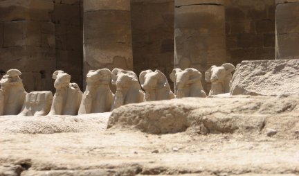 ZAPANJUJUĆE OTKRIĆE U EGIPTU! Naučnici u iskopinama drevnog grada naišli na šok prizor - čak 2.000 mumificiranih glava ove životinje, a onda su složili kockice...