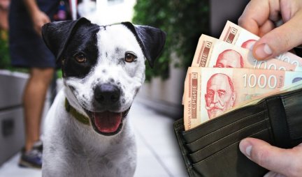PREDLOG NOVOG ZAKONA ŠOKIRAO VLASNIKE KUĆNIH LJUBIMACA! Evo šta misle Beograđani o uvođenju poreza na pse!