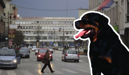 Užas u Leskovcu! Rotvajleri napali ljude - Uhapšen muškarac (55) jer nije obezbedio pse!