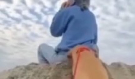 ZNAO JE TAČNO ŠTA RADI! Devojka se zbog psa koji je kopao iza nje, prevrnula preko glave! (VIDEO)