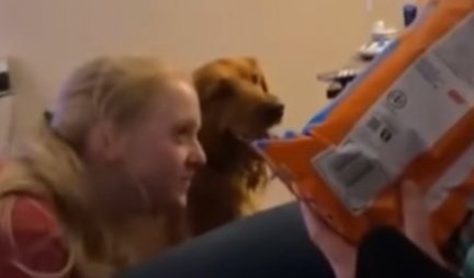 AKO JE HRANA U PITANJU, UČINIĆE SVE! Kada vidite kako je ovaj pas oborio devojku, biće vam sve jasno! (VIDEO)