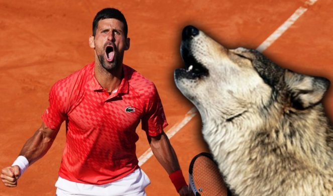 NOVAK BIO ŽIVOTNO UGROŽEN: Našao sam se oči u oči sa VUKOM!