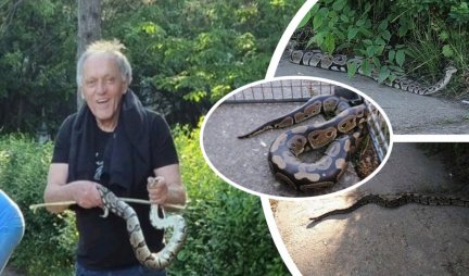 (FOTO) PITON OD METAR I PO IŠAO KA DECI! Ovo je heroj koji je golim rukma uhvatio zmiju na terenu u Subotici, PRIZORI NEVEROVATNI