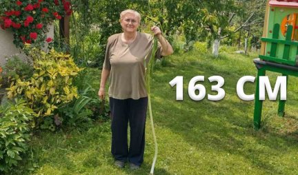 NIKAD NISTE VIDELI VEĆI! U Ripnju raste DŽINOVSKO povrće - STRUK MLADOG LUKA od čak 1, 63 metara! (FOTO/VIDEO)