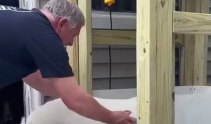 TO JE PRAVA LJUBAV! Čovek napravio LIFT za njegovog starijeg psa, koji ima poteškoće sa korišćenjem stepenica (VIDEO)