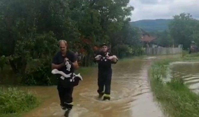 EVAKUISANE BEBE BLIZANCI U KUČEVU! Hrabri vatrogasci ih nosili u nosiljkama kroz vodu EVAKUISANE BEBE BLIZANCI U KUČEVU! Hrabri vatrogasci ih nosili u nosiljkama kroz vodu