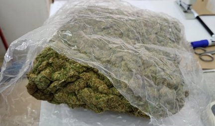 Podigunuta optužnica protiv dilera! Kod njega našli 51 kilogram marihuane, osuđivan i ranije