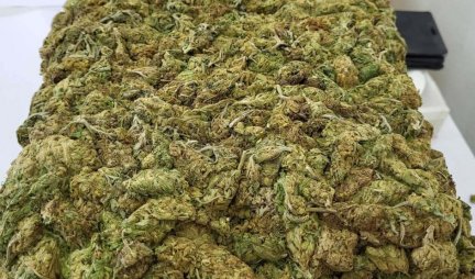 Zaplenjeno više od 1,5 kilograma marihuane! Dvojica muškaraca uhapšena u Novom Sadu