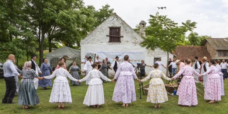 Velika svečanost u Subotici: Gradonačelnik Bakić prisustvovao tradicionalnom košenju žita – risu