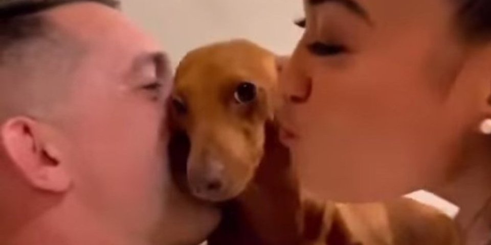 Poljubićeš ga, samo preko mene - ali, bukvalno! Da li ste videli ljubomornijeg psića? (VIDEO)