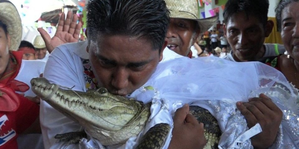 Gradonačelnik oženio aligatora! Tvrdi da se vole, a mlada je promenila čak dve toalete! (FOTO/VIDEO)