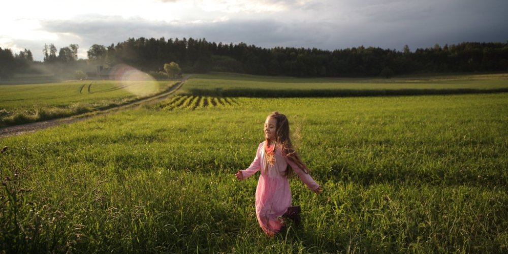 Ovi insekti odlaze u zaborav?! Obeležili su nam detinjstvo, a mi ih sada uništavamo