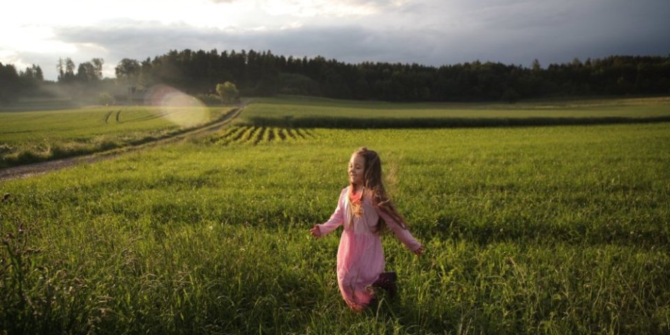 Ovi insekti odlaze u zaborav?! Obeležili su nam detinjstvo, a mi ih sada uništavamo