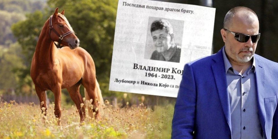 "To je bio njegov konj", prijatelj Vladimira Koja otkrio detalje tragedije: "Naleteo je na njega u punom galopu!"
