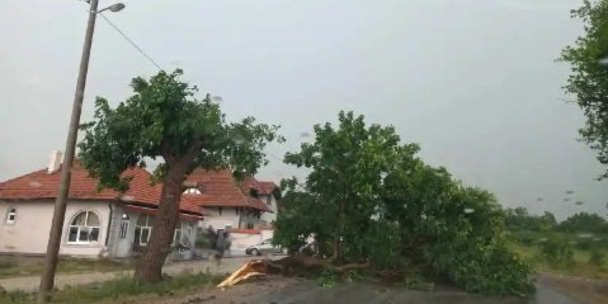 Padao je grad veličine lešnika: Olujno nevreme pogodilo Topolu (FOTO, VIDEO)