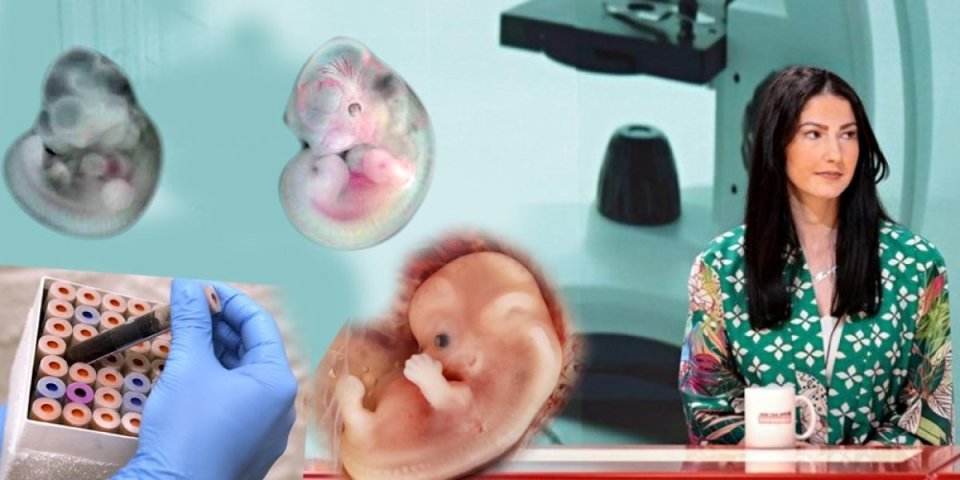 Sintetička deca - da li je to moguće? Stručnjaci na Informer TV otkrivaju sve o veštačkim embrionima! (VIDEO)