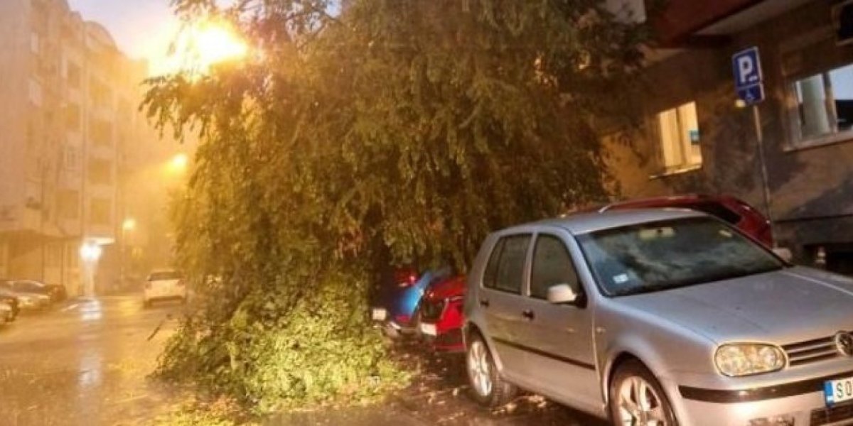 Drvo palo na devojčicu (15) u Novom Sadu: Olujno nevreme paralisalo grad, gradilište u centru srušeno (FOTO, VIDEO)
