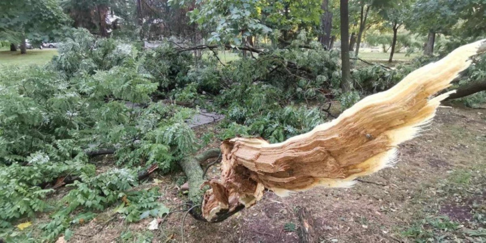 Stabla padala na parkirana vozila! Oluja oborila četiri bandere i dva stabla put Niš-Priština, bio u prekidu