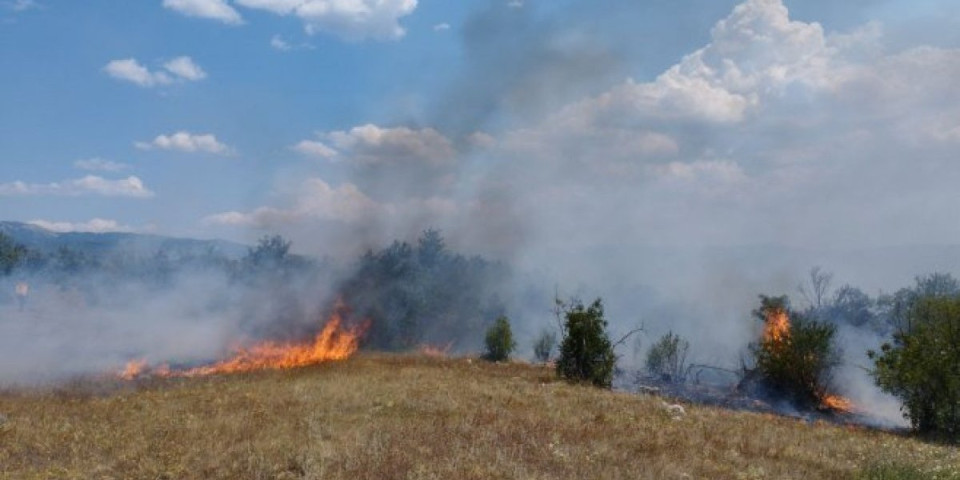 Buktinja u Hercegovini! Gatački vatrogasci sprečili širenje požara
