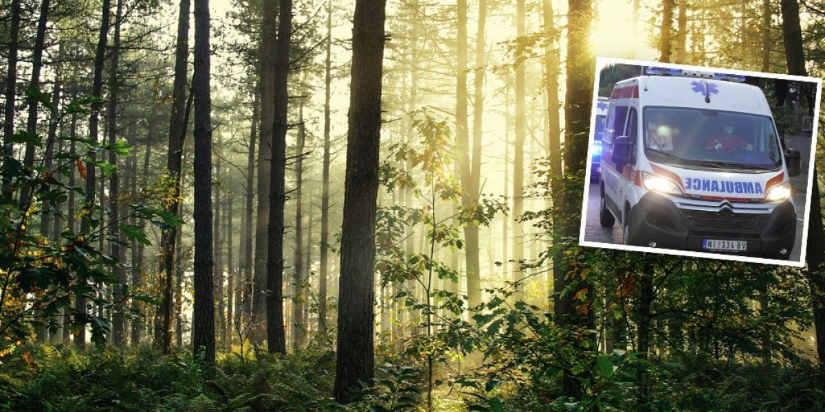 Preminuo drvoseča na koga se obrušilo stablo u šumi kod Prokuplja: Sedam dana lekari se borili za njegov život