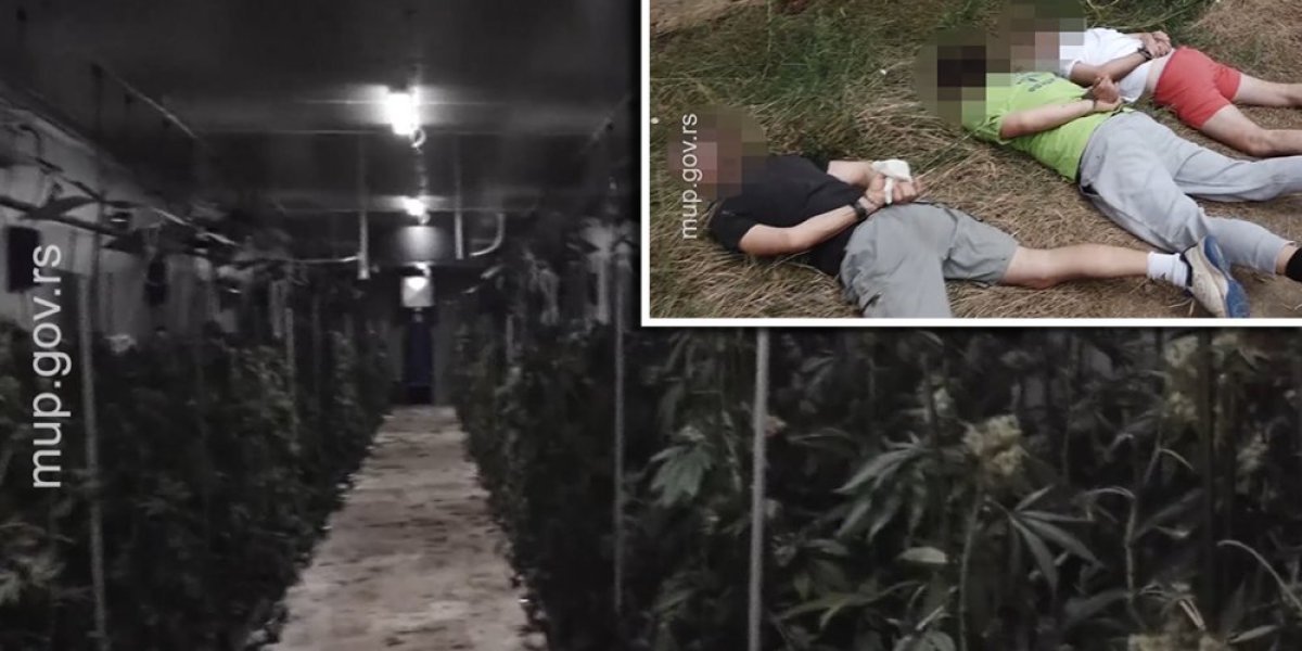 (VIDEO) UKP u munjevitoj akciji pohapsio bandu: Pogledajte koliko droge je zaplenjeno