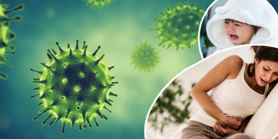 Ovih dana u domove zdravlja širom Srbije najčešće dolaze pacijenti sa stomačnim tegobama i respiratornim smetnjama, a okidač za to su letnje infekcije.