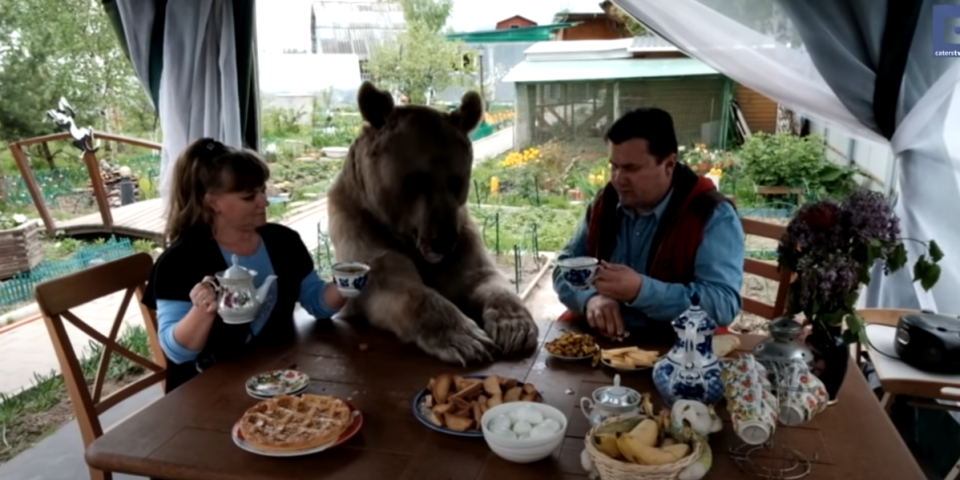 Medved od 150 kilograma je ovoj porodici kućni ljubimac! Pogledajte šta sve rade zajedno (FOTO, VIDEO)