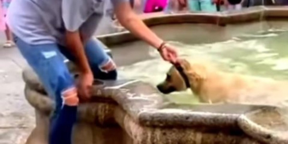 Rešio da se brčka i uživa! Pas koji neće da izađe iz fontane će vas nasmejati do suza (VIDEO)