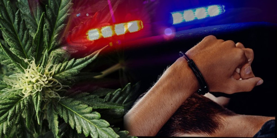 Pao diler iz Kragujevca! Policija u stanu pronašla marihuanu i vagicu