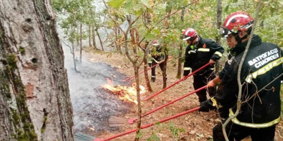 Vranjanac palio nisko rastinje i nastradao: Njegovo telo pronašli vatrogasci