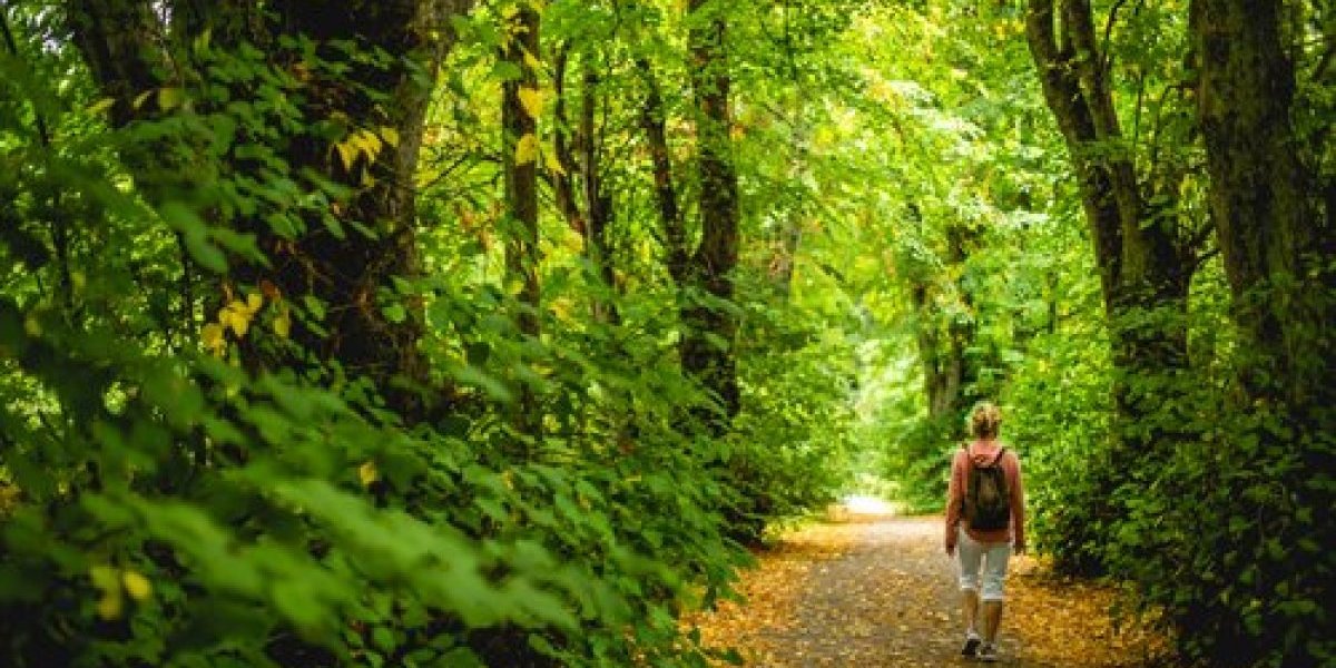 Srbija na korak do svetske baštine: Četiri domaća lokaliteta pred ulaskom na UNESCO listu