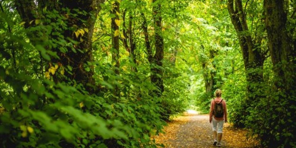 Srbija na korak do svetske baštine: Četiri domaća lokaliteta pred ulaskom na UNESCO listu