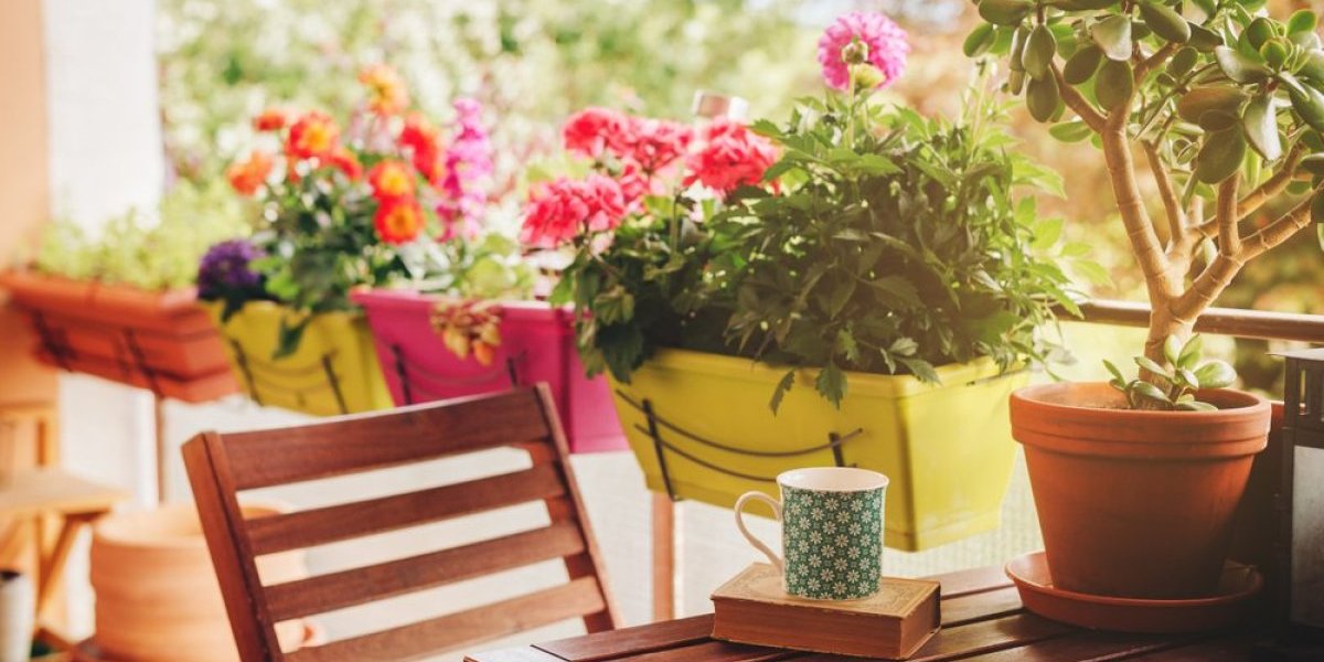 Prolećni raj na vašoj terasi! Praktični vodič za sadnju biljaka u martu