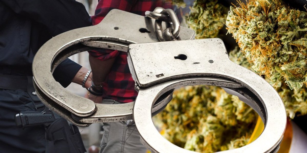 Policija otkrila fabriku droge kod Prokuplja! Uhapšene tri osobe, u kući laboratorija, a u bašti zasad marihuane