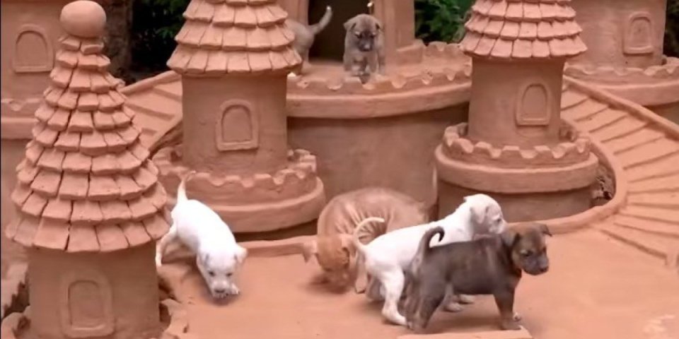 Nisu imali gde da spavaju, a onda su dobili sopstveni dvorac! Pogledajte kako sada uživaju ovi štenci (VIDEO)