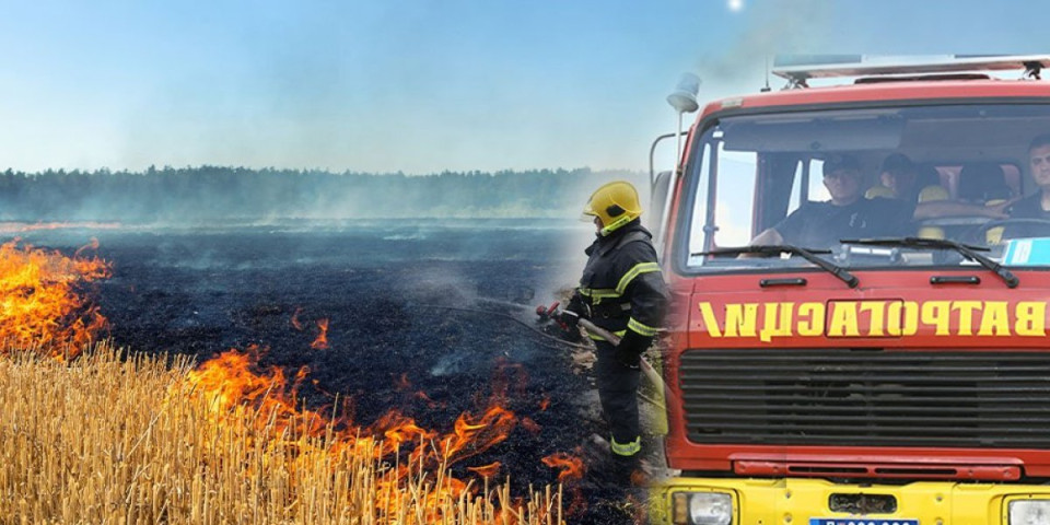 Vatra progutala rastinje, intervenisali vatrogasci! Otvoreni požar zahvatio četiri hektara, brzo ugašen