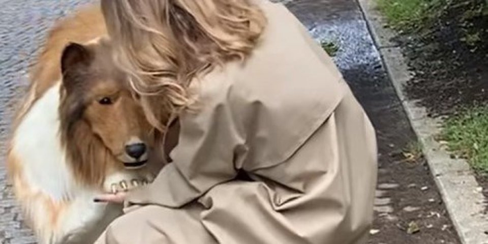 Čovek se pretvorio u psa! Izvodi se u šetnju, maše repom, a ovo mu je omiljena zanimacija (VIDEO)