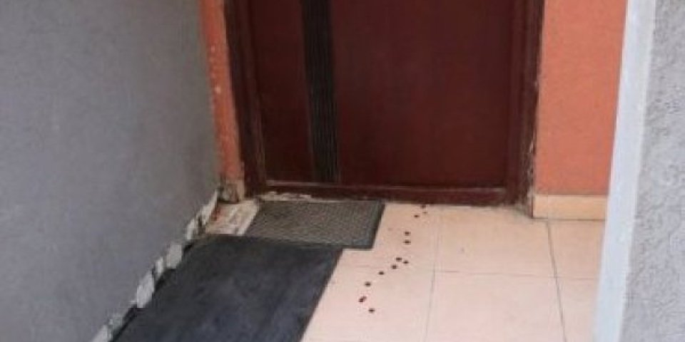 Narkomanka ubila prijatelja kuhinjskim nožem! Novo suđenje za krvoproliće u Rakovici