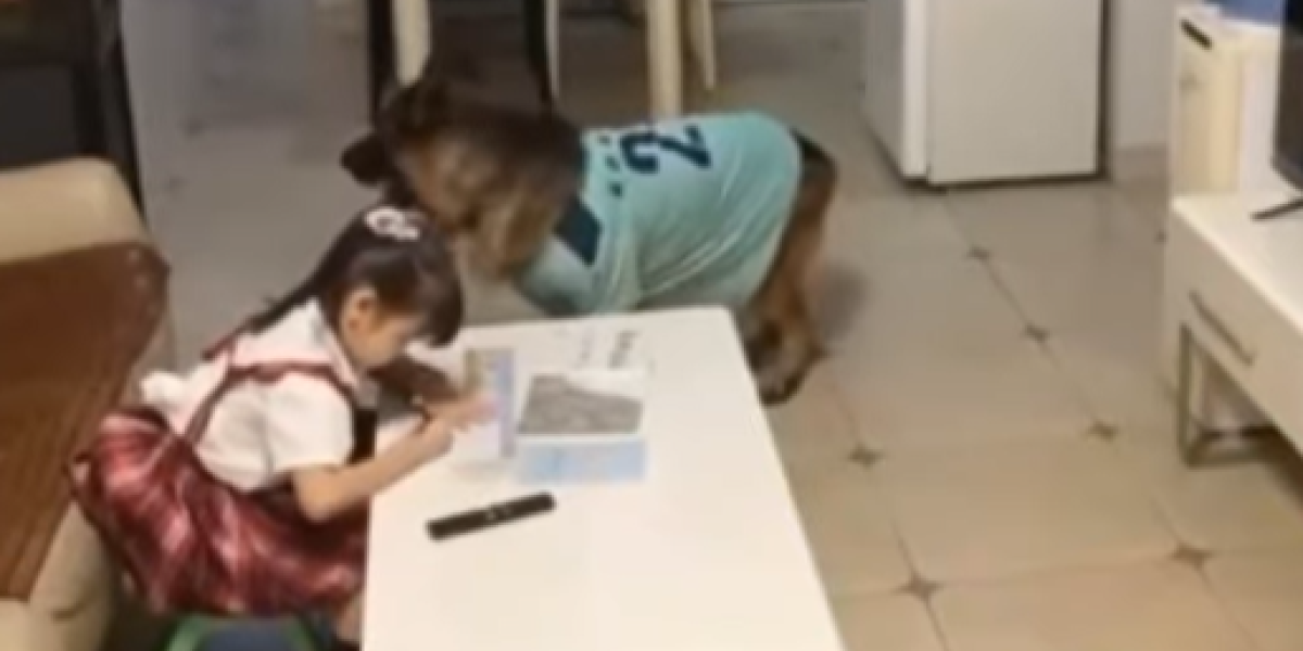Kakav tandem! Pas svaki put javlja devojčici kad joj nailazi tata, kako bi ugasila tv i pravila se da uči (VIDEO)