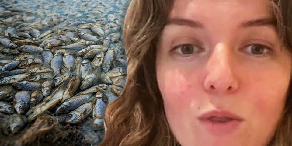 Čuvajte se mirisa pokvarene ribe! Danima je osećala užasan smrad u kući, tragediju je izbegla za dlaku (VIDEO)