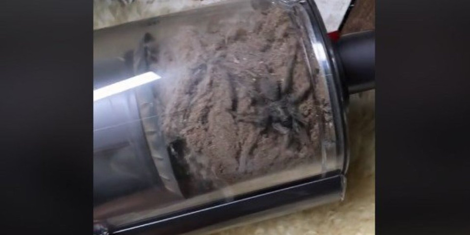 Otvorila je usisivač, a onda je usledio šok! Nije mogla da veruje šta se nalazilo unutra među prašinom (VIDEO)