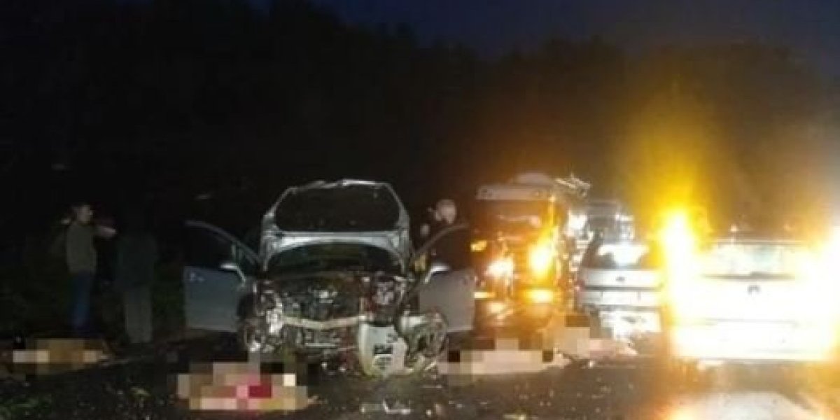 Nesreća na putu Paraćin-Zaječar ledi krv: Zgužvan automobil, a oko njega šest mrtvih ovaca
