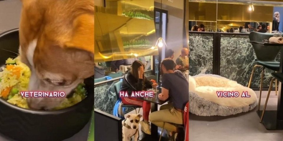 Otvoren prvi luksuzni restoran za pse u Italiji! Ljubimci su oduševljeni (VIDEO)
