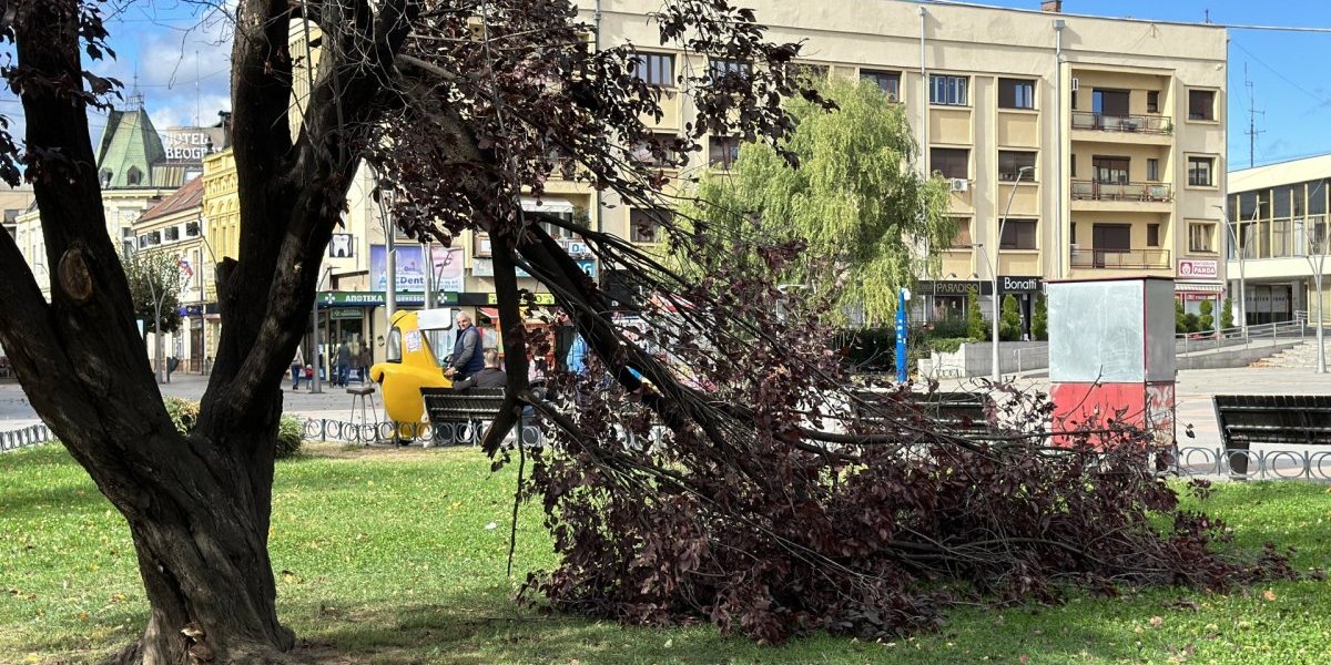 Jak vetar pravi haos u ovim delovima Srbije! Odvaljuje semafore, krovove i stabla!