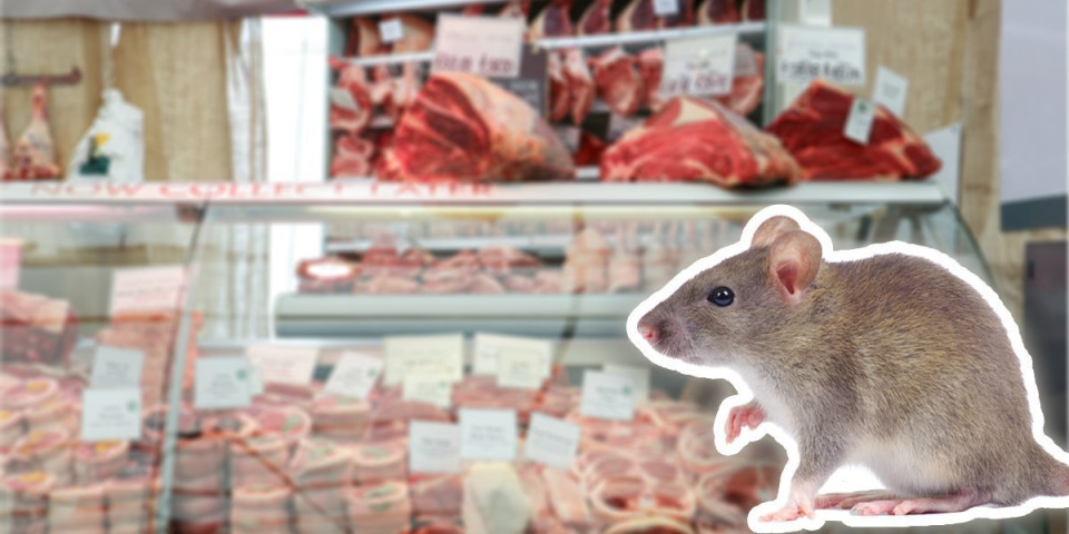 Šokantan snimak iz prodavnice! Miš jede kobasicu naočigled prodavaca i kupaca! Zaraza u najavi! (VIDEO)